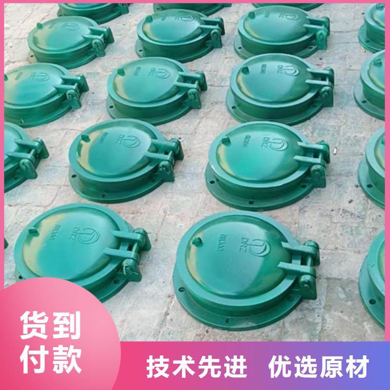 拍门-球墨铸铁拍门免费询价