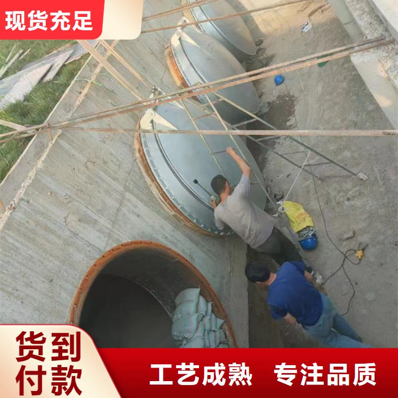 拍门复合材料拍门质量优选