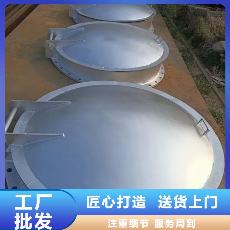 拍门,不锈钢拍门N年专注
