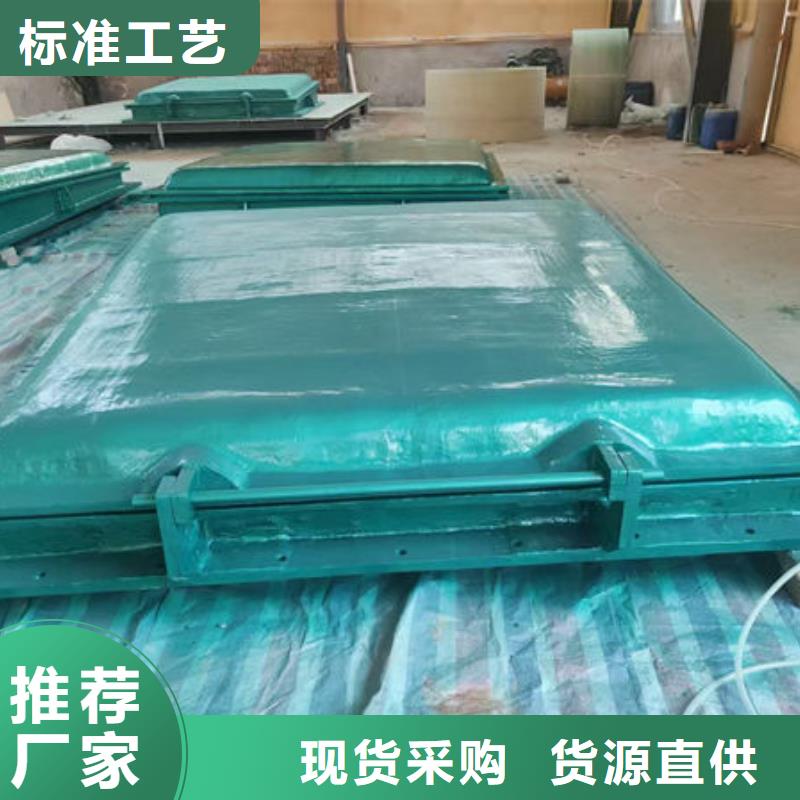 拍门-防倒灌拍门质优价廉
