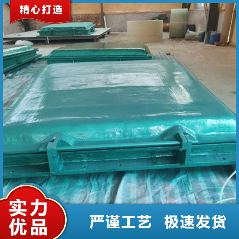 拍门防倒灌拍门产地采购