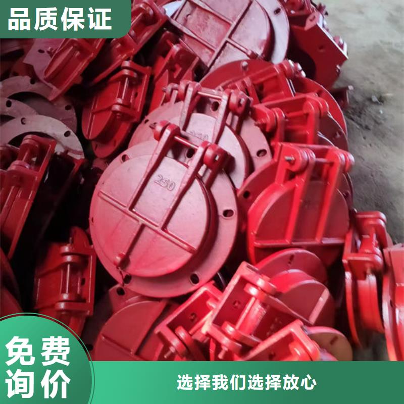拍门钢制拍门专注质量