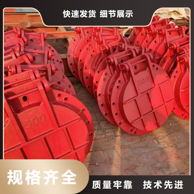 拍门钢拍门专业信赖厂家