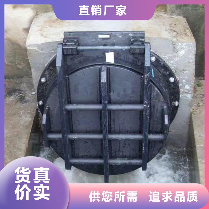 拍门球墨铸铁拍门准时交付