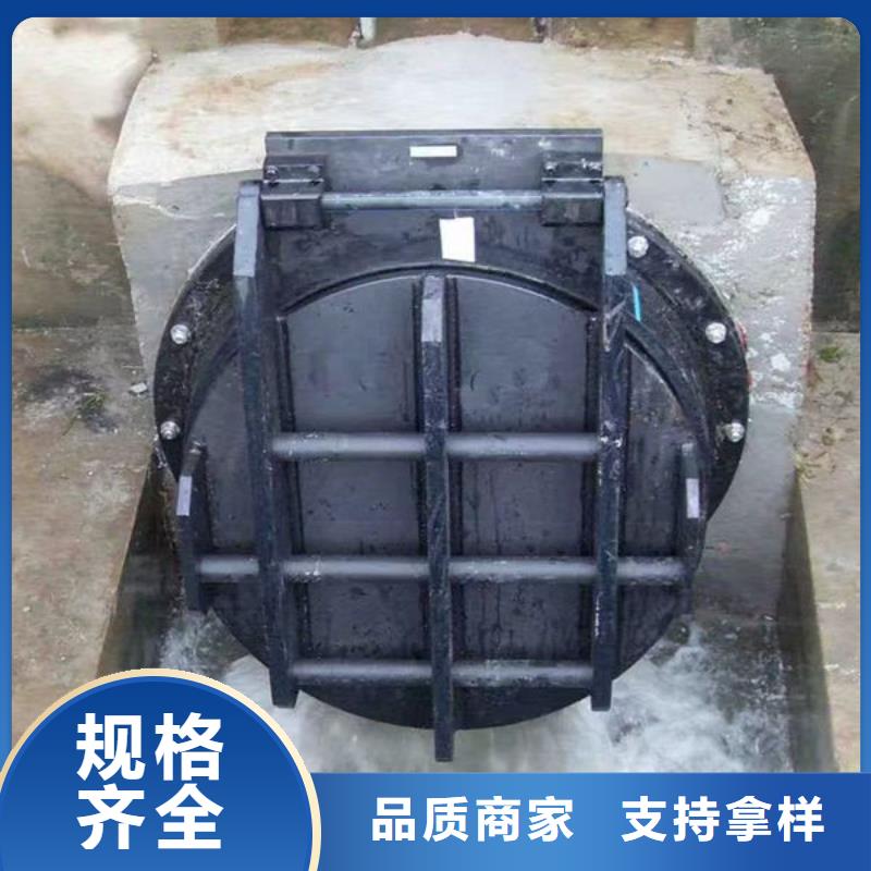 拍门防倒灌拍门值得信赖