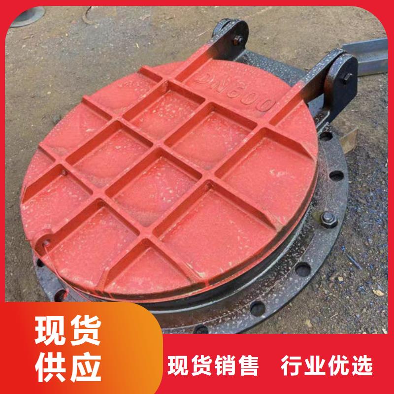 拍门-防倒灌拍门质优价廉