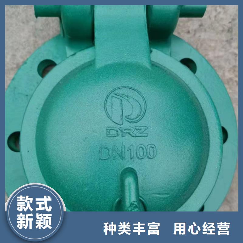 拍门球墨铸铁拍门拒绝伪劣产品
