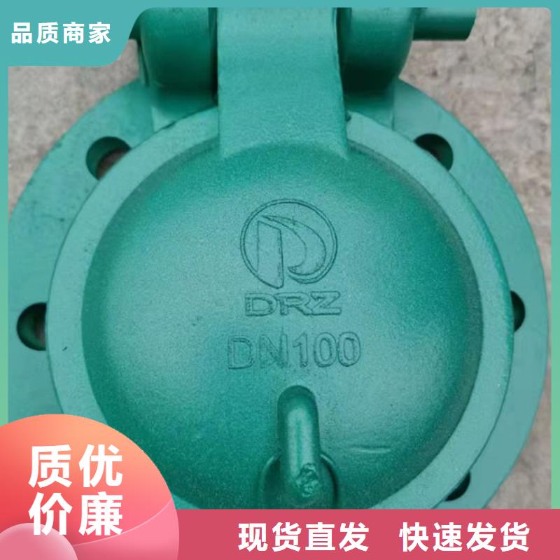 拍门钢拍门专业信赖厂家
