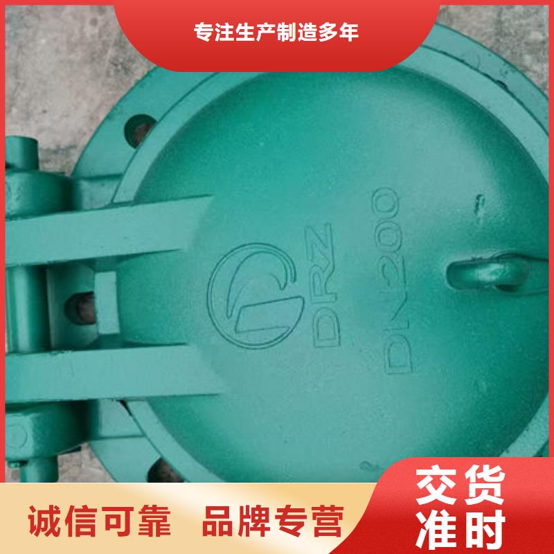 拍门防倒灌拍门生产安装