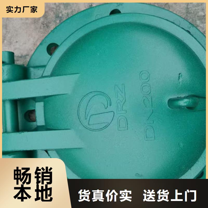 拍门球墨铸铁拍门标准工艺