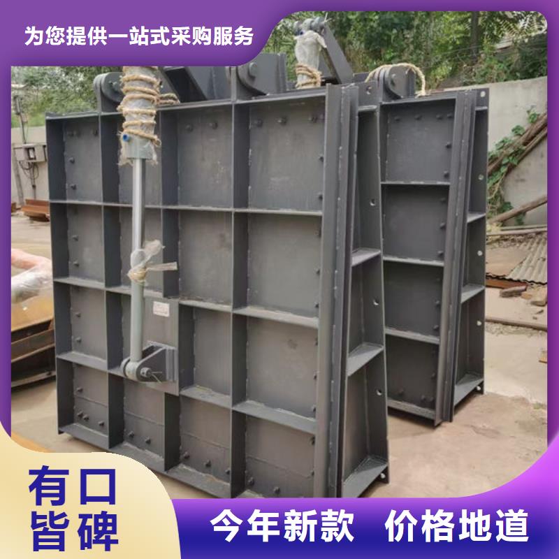 拍门,球墨铸铁拍门海量货源