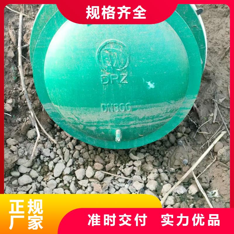 拍门-防倒灌拍门现货直发