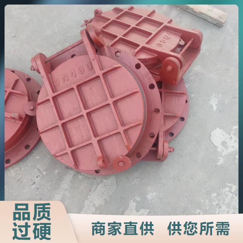 拍门-球墨铸铁拍门免费询价