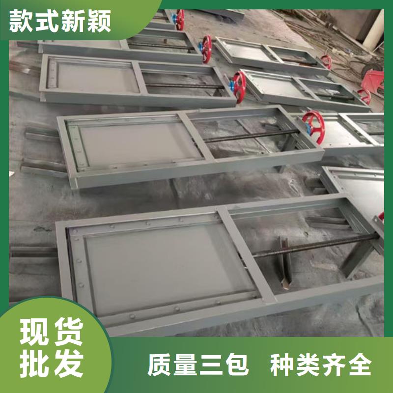 不锈钢闸门捞污珊实力厂商