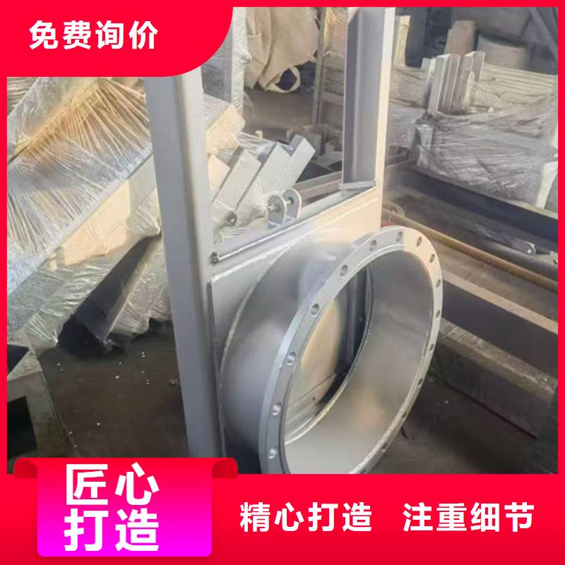不锈钢闸门捞污珊实力厂商