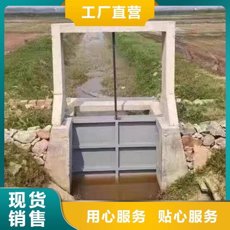 不锈钢闸门平面钢闸门多年行业积累