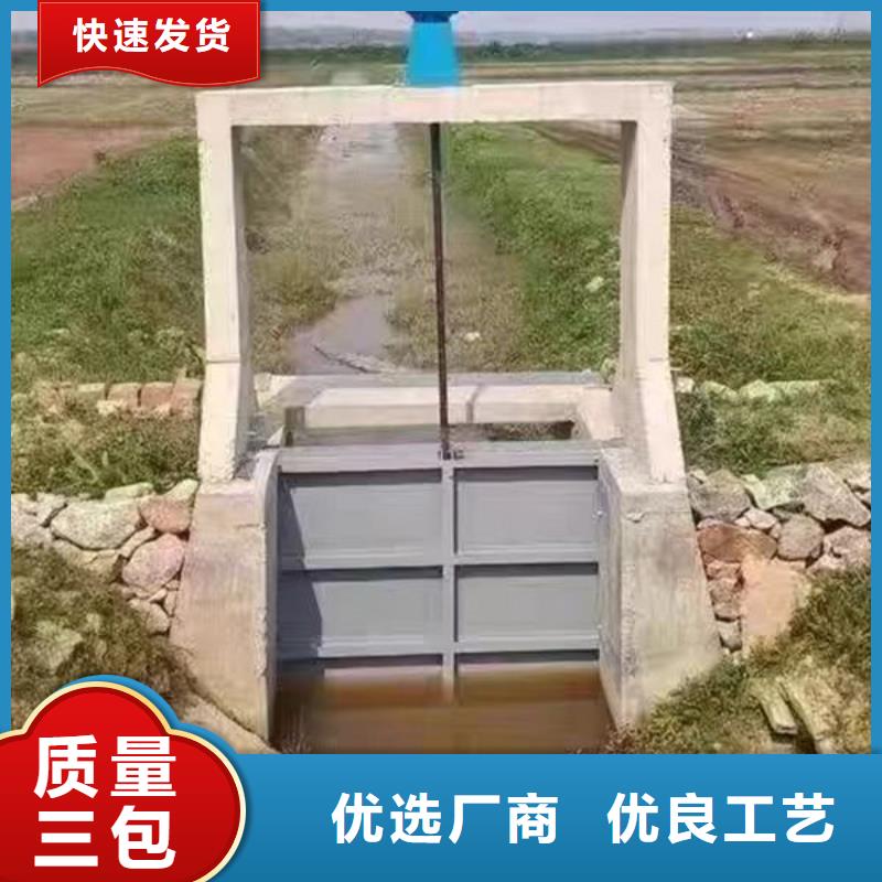 不锈钢闸门捞污珊实力厂商