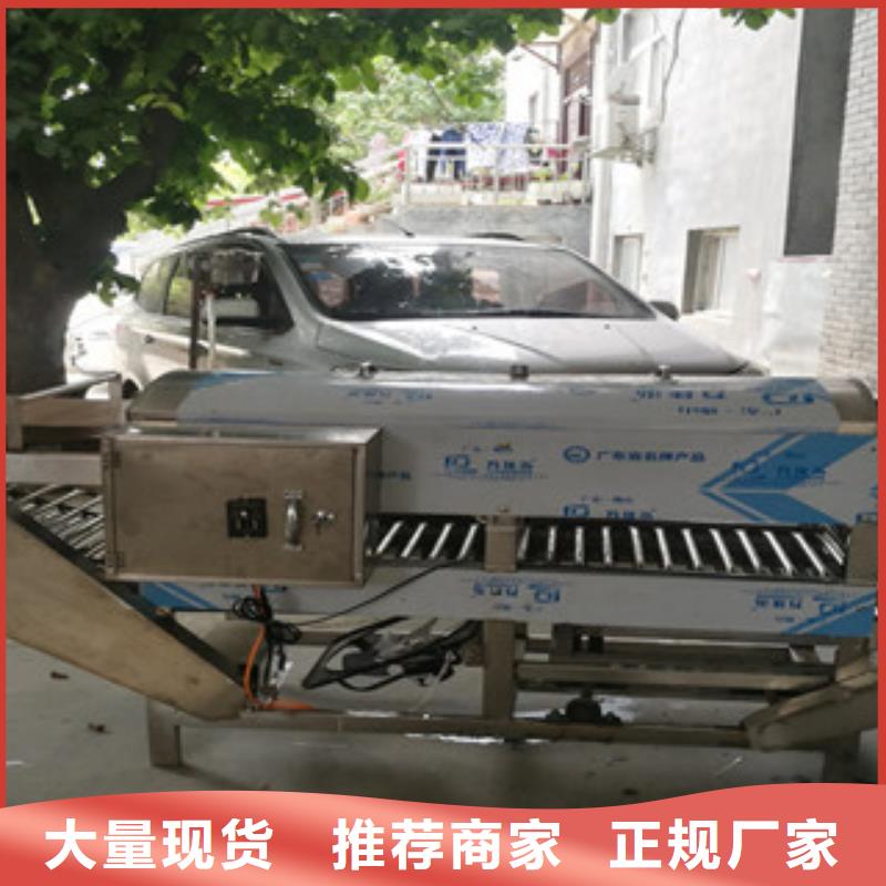 凉皮机_米皮机快速物流发货