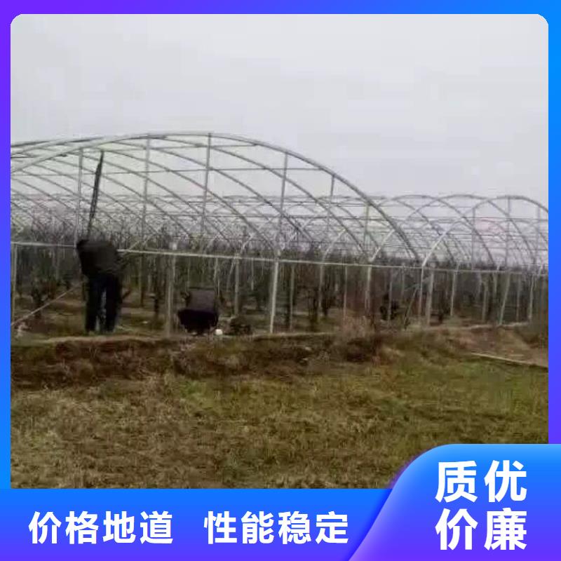 紫铜排视频-济南市紫铜排-【该地】可服务区域长清|历城|滨州|威海|青岛|聊城|济宁|淄博