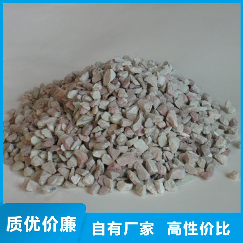 沸石支持拿样