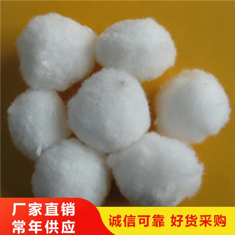 纤维球沸石实力雄厚品质保障