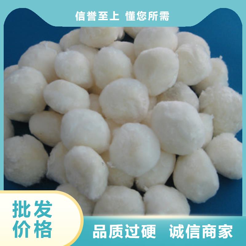 纤维球沸石实力雄厚品质保障