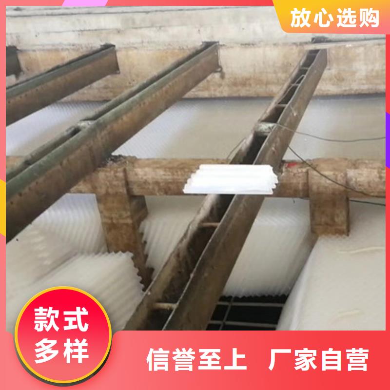 蜂窝斜管泡沫滤珠用心做产品