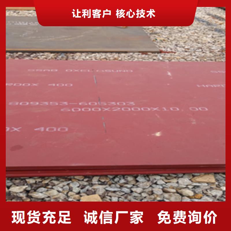 进口耐磨板哈道斯耐磨板用心制造