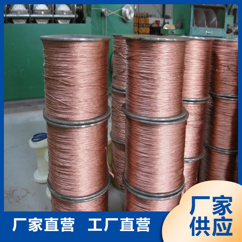 铜绞线紫铜带做工精细