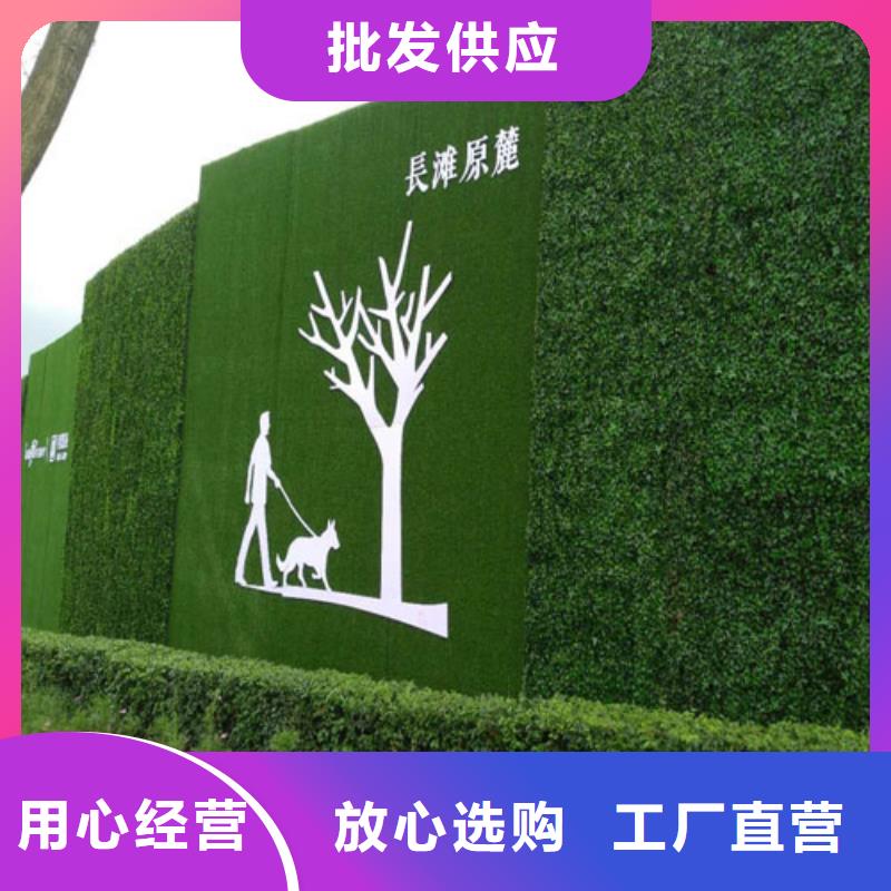 围挡草坪假草皮围挡拥有多家成功案例