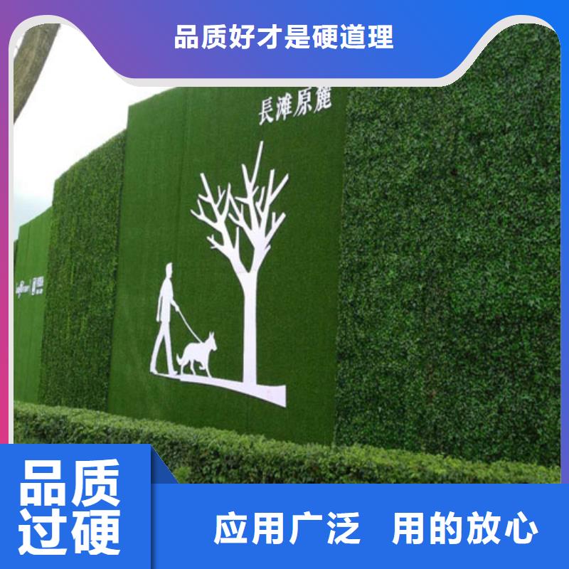 围挡草坪-人工草坪围挡厂家质量过硬