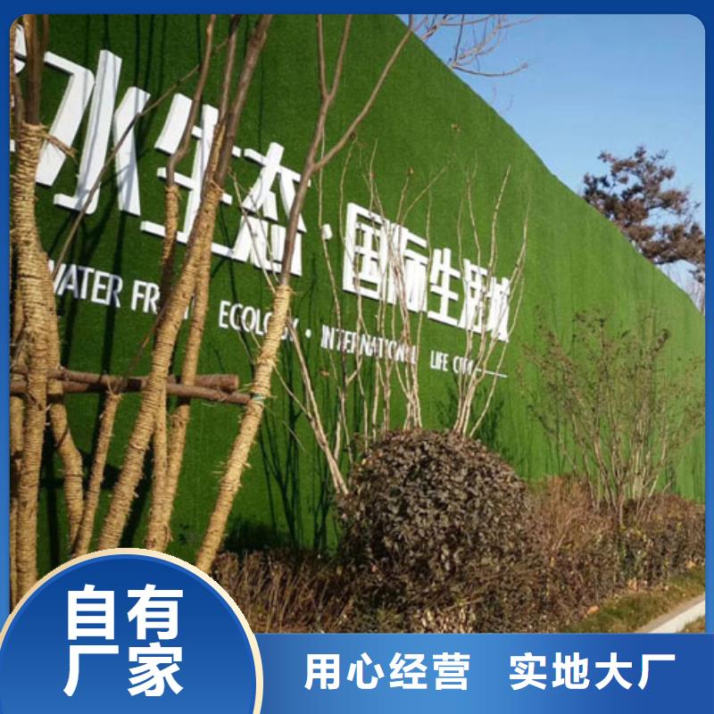 围挡草坪-人工草坪围挡厂家质量过硬