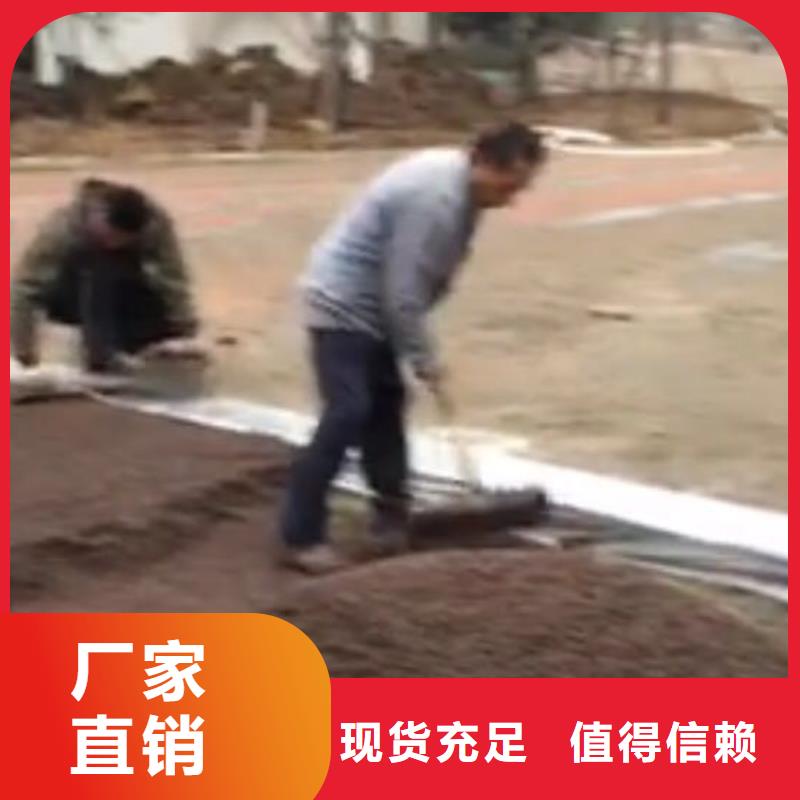 透水彩色混凝土压花地坪无中间商厂家直销