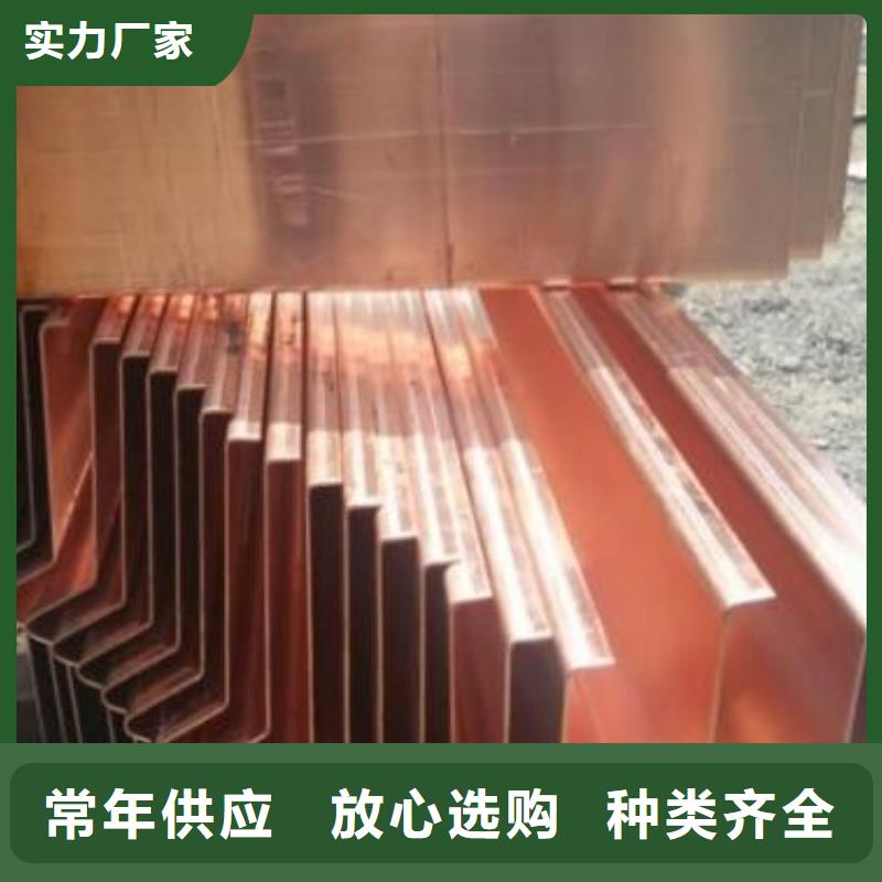 广硕紫铜止水厂家