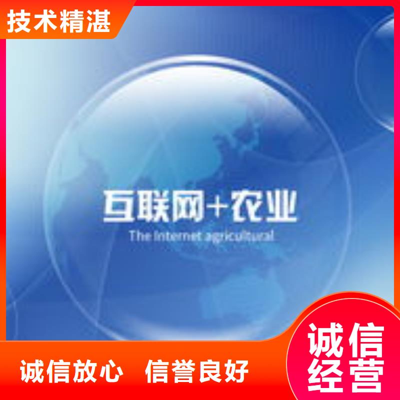 马云网络,小程序推广服务周到