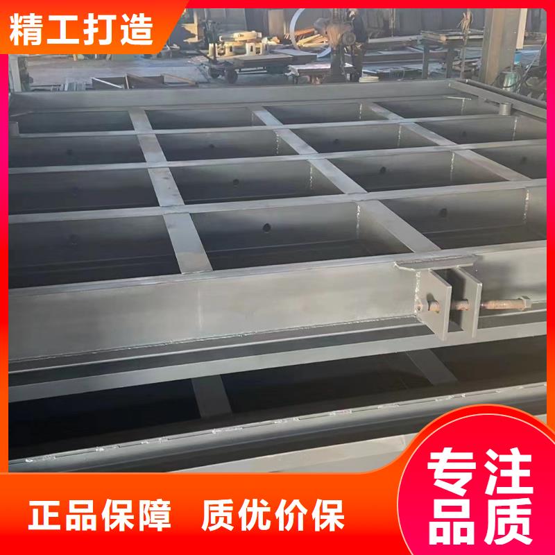 钢闸门除污机自主研发