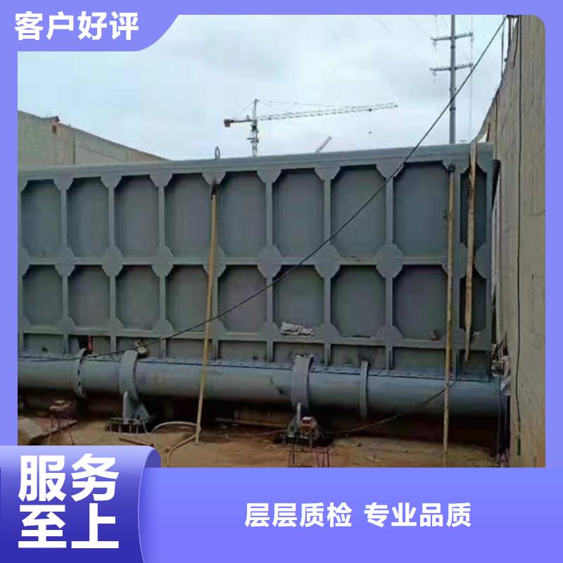 定滑轮钢制闸门-用的放心