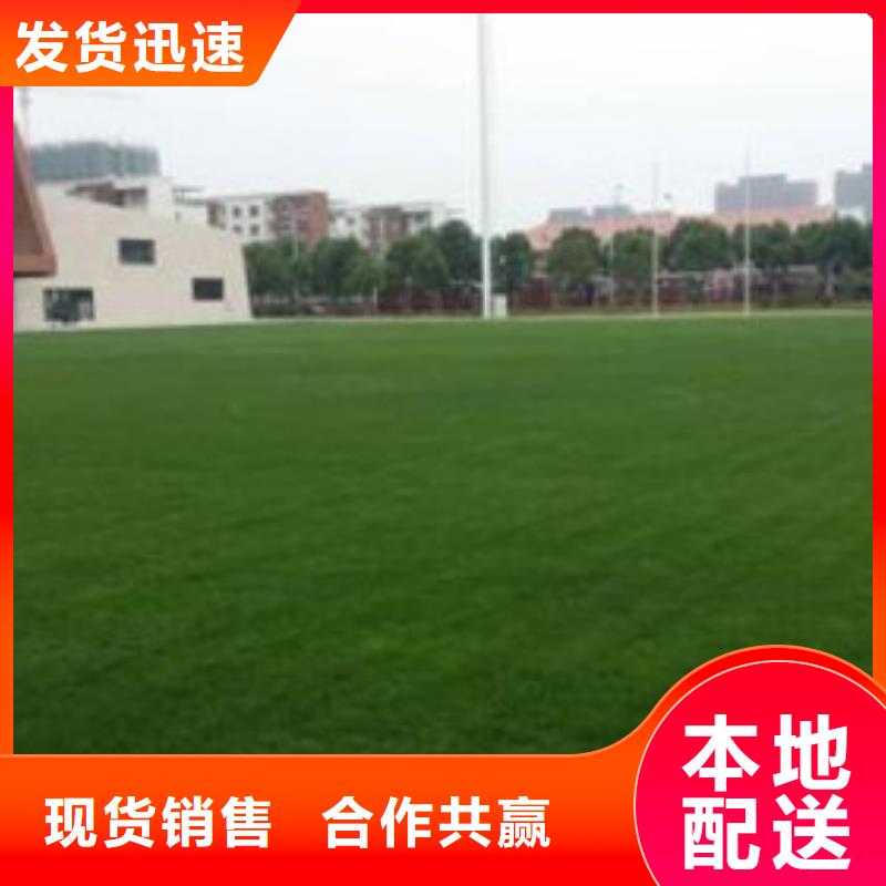 人造草坪_塑胶跑道品牌专营
