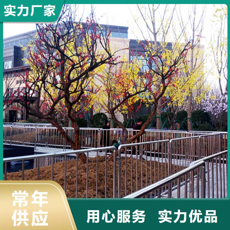 铁马护栏出租篷房租赁出租良好口碑