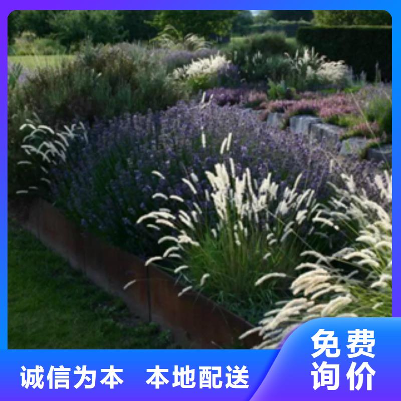 1耐候钢实力优品