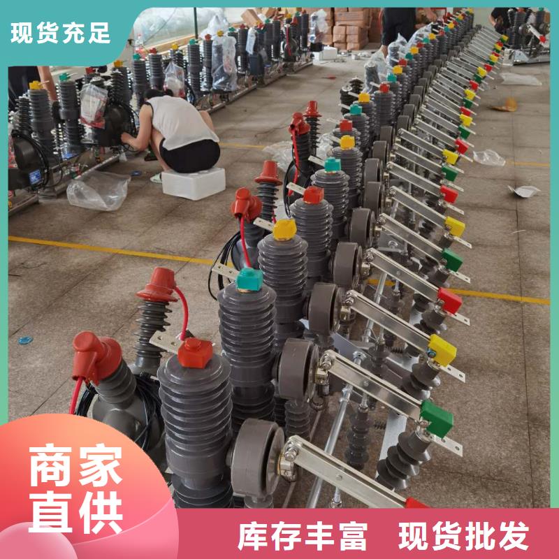 真空断路器高压氧化锌避雷器质量无忧