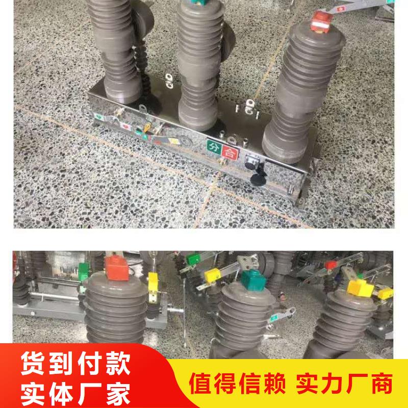 真空断路器XRNT-12KV熔断器一致好评产品