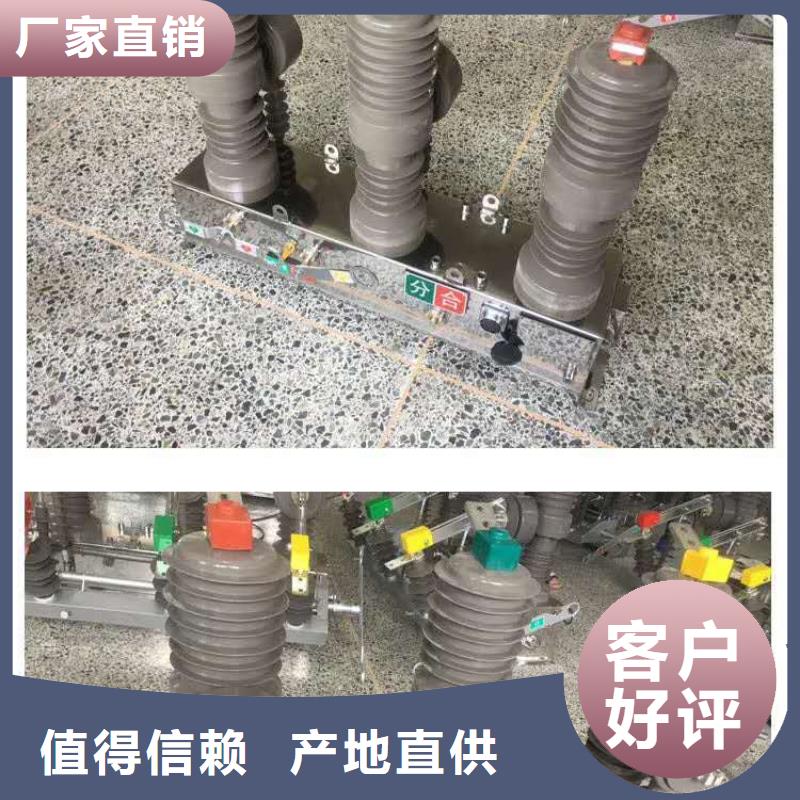 真空断路器户外跌落式熔断器专业生产N年