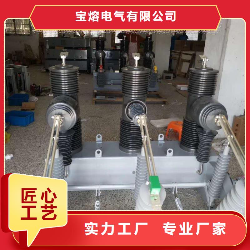 真空断路器户外单极隔离开关多年行业积累