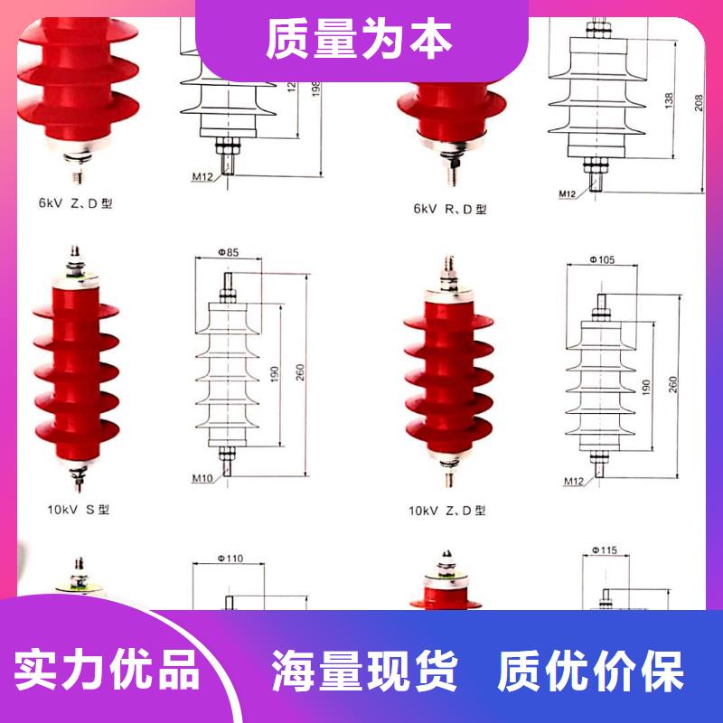 【品质服务 氧化锌避雷器HY5WS-17/50避雷器实拍展现】_v651.com