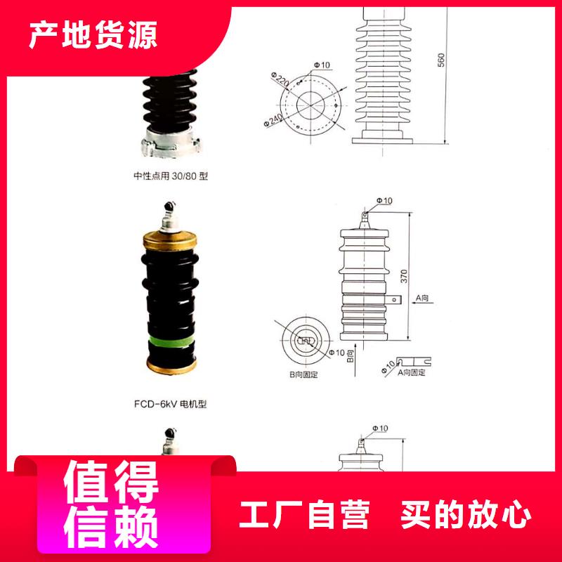 【氧化锌避雷器】XRNT-12KV熔断器拒绝伪劣产品