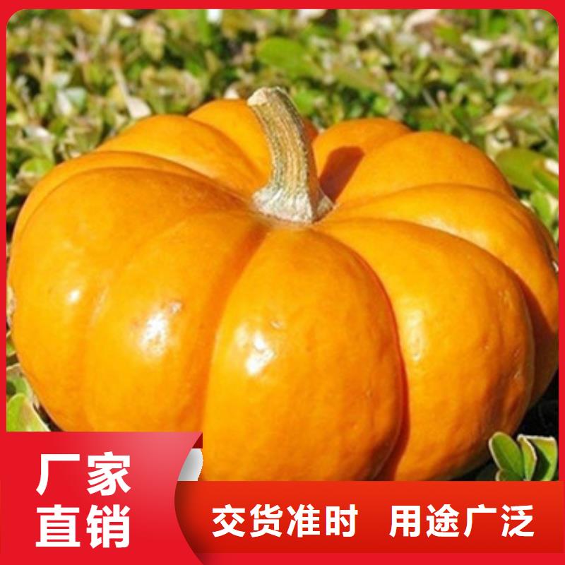 无皮南瓜丁无中间商