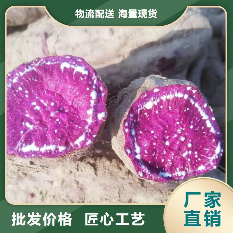 红薯粉-视频-红薯粉|四川省乐山市|峨眉山|夹江|广安|南充|甘孜|眉山|广元