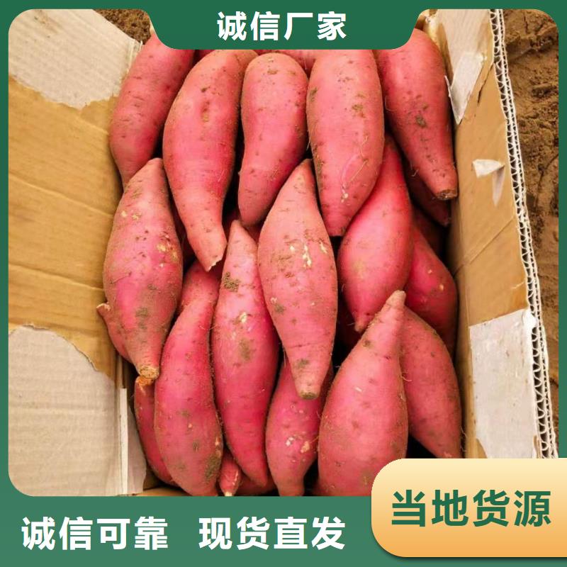 红薯粉-视频-德庆|端州|东莞|广州|揭阳|佛山乐农红薯粉_ 乐农食品(肇庆市分公司)
