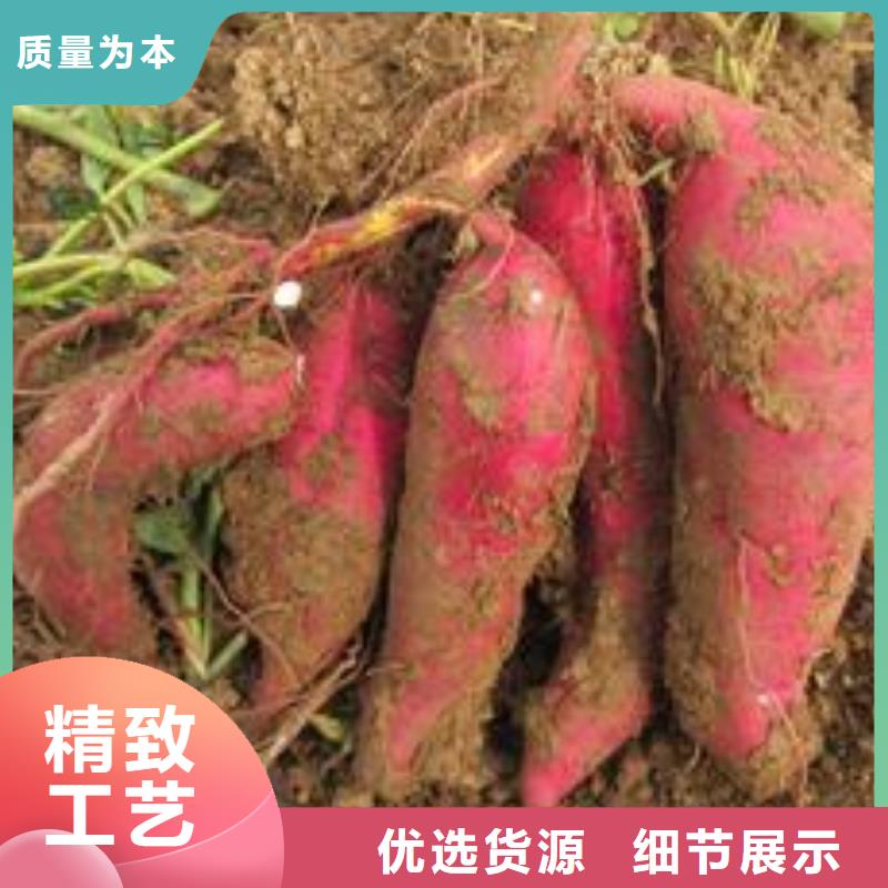 羽衣甘蓝粉-视频-羽衣甘蓝粉_四川省乐山市乐农食品(乐山市分公司)
